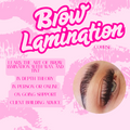Brow Lamination Course